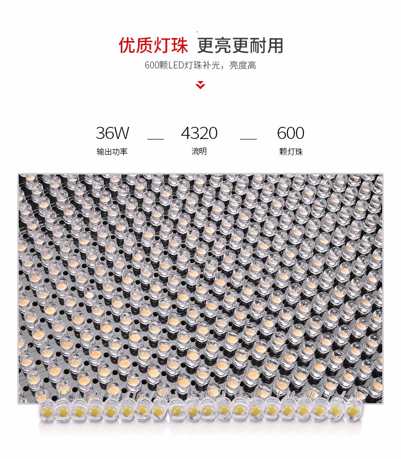 圖立方,LED攝影燈,LED攝像燈,專(zhuān)業(yè)攝影器材廠(chǎng)家,圖立方攝影燈,補(bǔ)光燈,影視器材,攝影燈,環(huán)形燈,直播燈,攝影器材,攝影燈廠(chǎng)家,影視器材廠(chǎng)家,攝影器材廠(chǎng)家